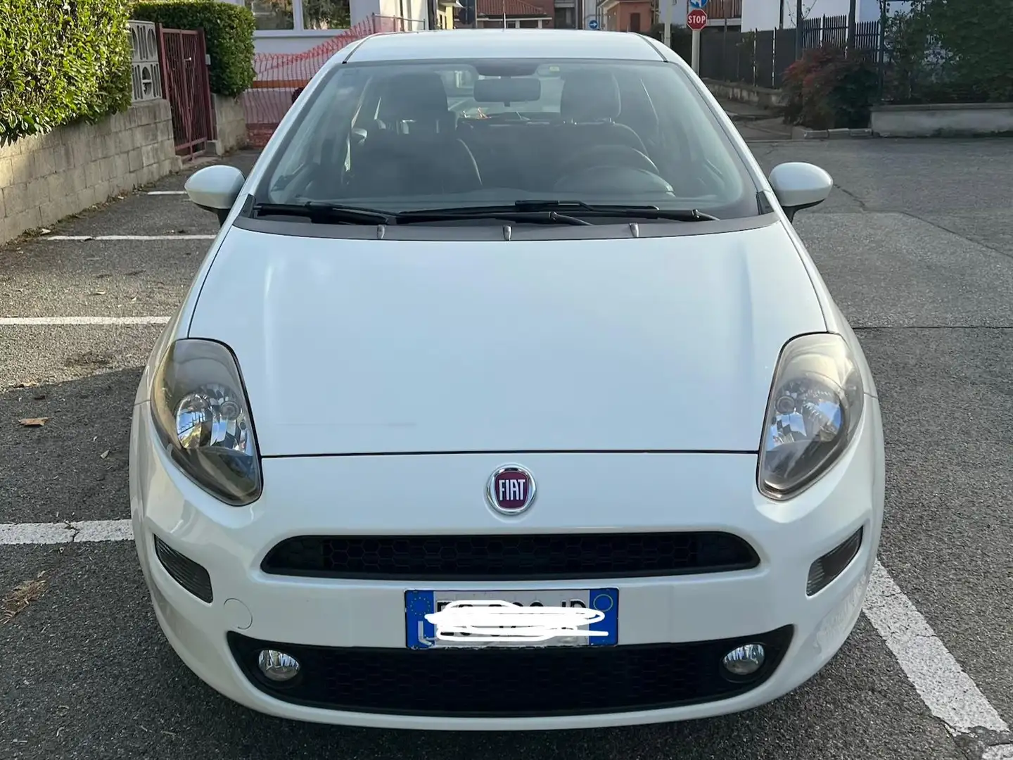 Fiat Punto Evo Punto Evo 5p 1.3 mjt Dynamic eco s Alb - 2