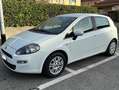 Fiat Punto Evo Punto Evo 5p 1.3 mjt Dynamic eco s Alb - thumbnail 1