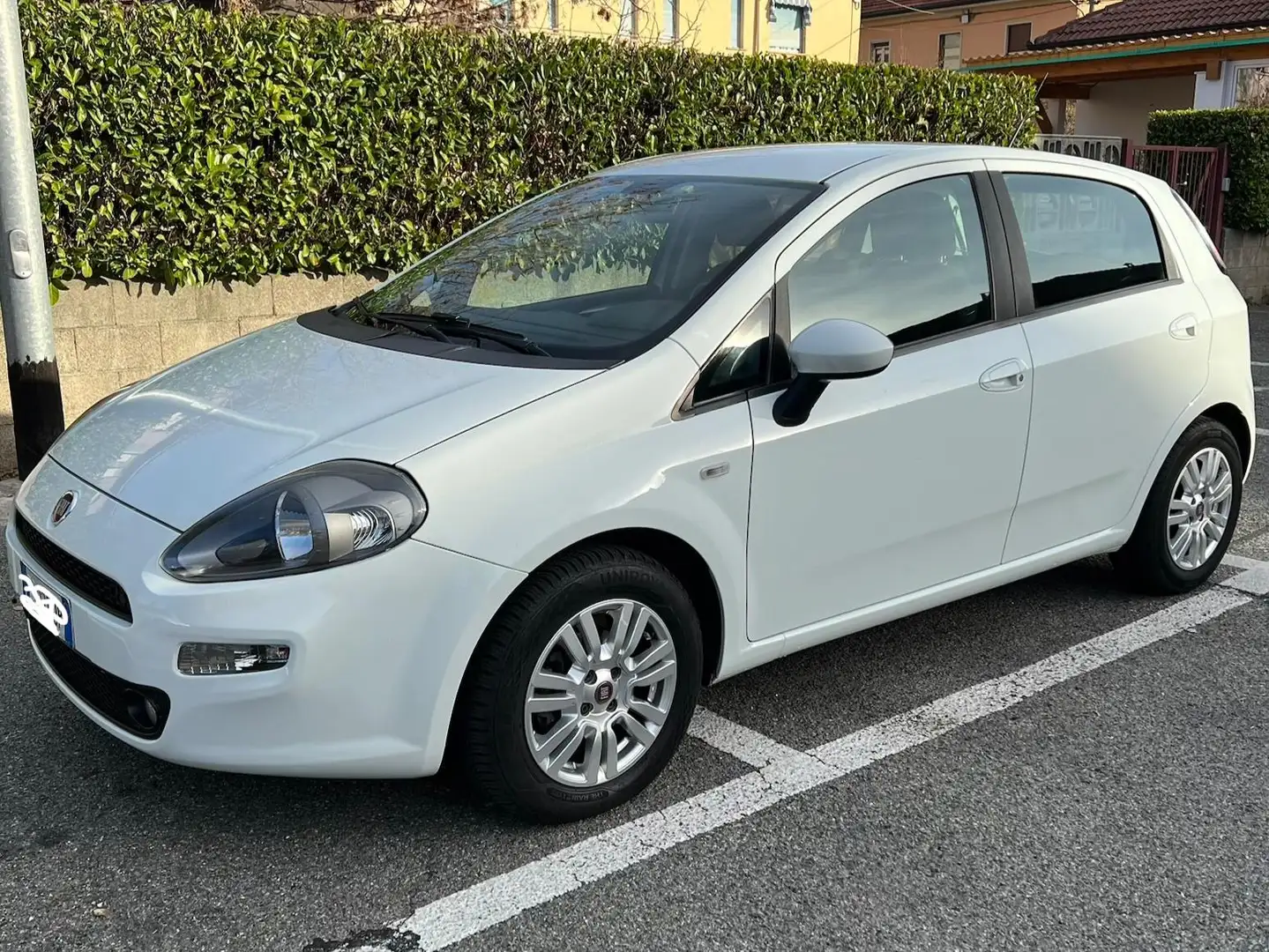Fiat Punto Evo Punto Evo 5p 1.3 mjt Dynamic eco s Alb - 1