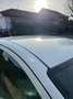Fiat Punto Evo Punto Evo 5p 1.3 mjt Dynamic eco s Alb - thumbnail 4