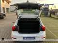 Volkswagen Polo 1.0 evo life 80cv Weiß - thumbnail 13