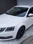 Skoda Octavia Octavia Combi 1,6  TDI 4x4 Ambition Weiß - thumbnail 1