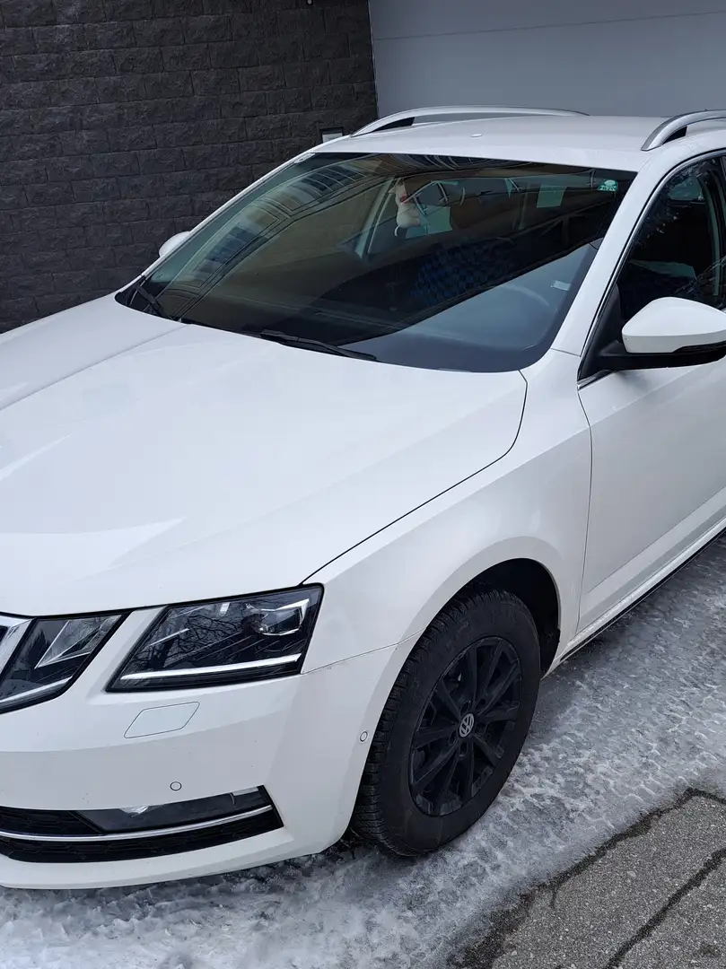 Skoda Octavia Octavia Combi 1,6  TDI 4x4 Ambition Weiß - 1