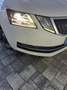 Skoda Octavia Octavia Combi 1,6  TDI 4x4 Ambition Weiß - thumbnail 2