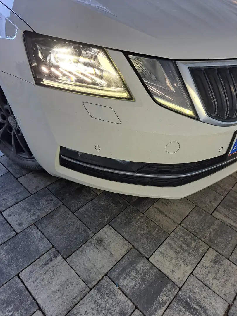 Skoda Octavia Octavia Combi 1,6  TDI 4x4 Ambition Weiß - 2