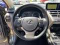 Lexus NX 300 h 300h Executive Line Pano ParkAss. ACC - thumbnail 12