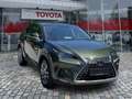 Lexus NX 300 h 300h Executive Line Pano ParkAss. ACC - thumbnail 6