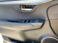 Lexus NX 300 h 300h Executive Line Pano ParkAss. ACC - thumbnail 17