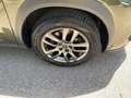 Lexus NX 300 h 300h Executive Line Pano ParkAss. ACC - thumbnail 7