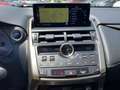 Lexus NX 300 h 300h Executive Line Pano ParkAss. ACC - thumbnail 13