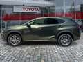 Lexus NX 300 h 300h Executive Line Pano ParkAss. ACC - thumbnail 3