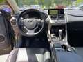 Lexus NX 300 h 300h Executive Line Pano ParkAss. ACC - thumbnail 11