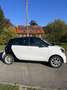smart forFour passion - thumbnail 3