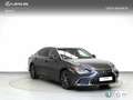 Lexus ES 300 300h Premium Gri - thumbnail 19