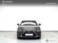 Lexus ES 300 300h Premium Сірий - thumbnail 5