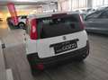 Fiat Panda 1.2 Pop Van 2 posti Blanc - thumbnail 5