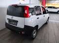 Fiat Panda 1.2 Pop Van 2 posti Blanc - thumbnail 4