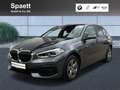 BMW 116 d Advantage LED WLAN Tempomat Klimaaut. Shz Grau - thumbnail 1