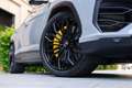 Lamborghini Urus 4.0 V8 SE | Panorama | Carbon | ANIMA Gris - thumbnail 9