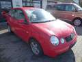 Volkswagen Polo IV Cricket Rot - thumbnail 3