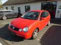 Volkswagen Polo IV Cricket Rot - thumbnail 2