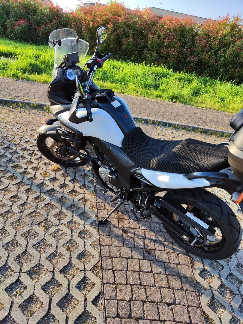 Suzuki V-Strom 650 Alb - 2