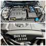 Skoda Octavia Wagon 2.0 tdi Executive 150cv dsg Plateado - thumbnail 13