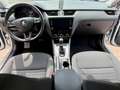 Skoda Octavia Wagon 2.0 tdi Executive 150cv dsg Plateado - thumbnail 9