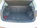 Volkswagen Tiguan Elegance 2,0 TSI DSG 4Motion Anh.Kpl. Ganzj.Reifen Wit - thumbnail 14