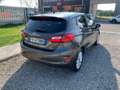 Ford Fiesta 1.1 85 CV 5 porte Titanium Grigio - thumbnail 5