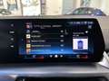 BMW 220 i Active Tourer mhev 48V Msport-18"-Tetto-FULL-IVA Grau - thumbnail 14