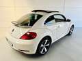 Volkswagen Beetle 1.4 TSI Design 160 Blanco - thumbnail 5