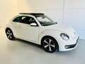 Volkswagen Beetle 1.4 TSI Design 160 Blanco - thumbnail 9