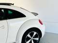 Volkswagen Beetle 1.4 TSI Design 160 Blanco - thumbnail 22