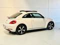 Volkswagen Beetle 1.4 TSI Design 160 Blanco - thumbnail 3