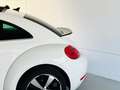 Volkswagen Beetle 1.4 TSI Design 160 Blanco - thumbnail 14