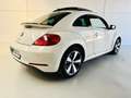 Volkswagen Beetle 1.4 TSI Design 160 Blanco - thumbnail 17