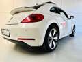 Volkswagen Beetle 1.4 TSI Design 160 Blanco - thumbnail 16