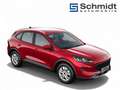 Ford Kuga Cool & Connect 2,0 EBlue 120PS A8 F Rot - thumbnail 8