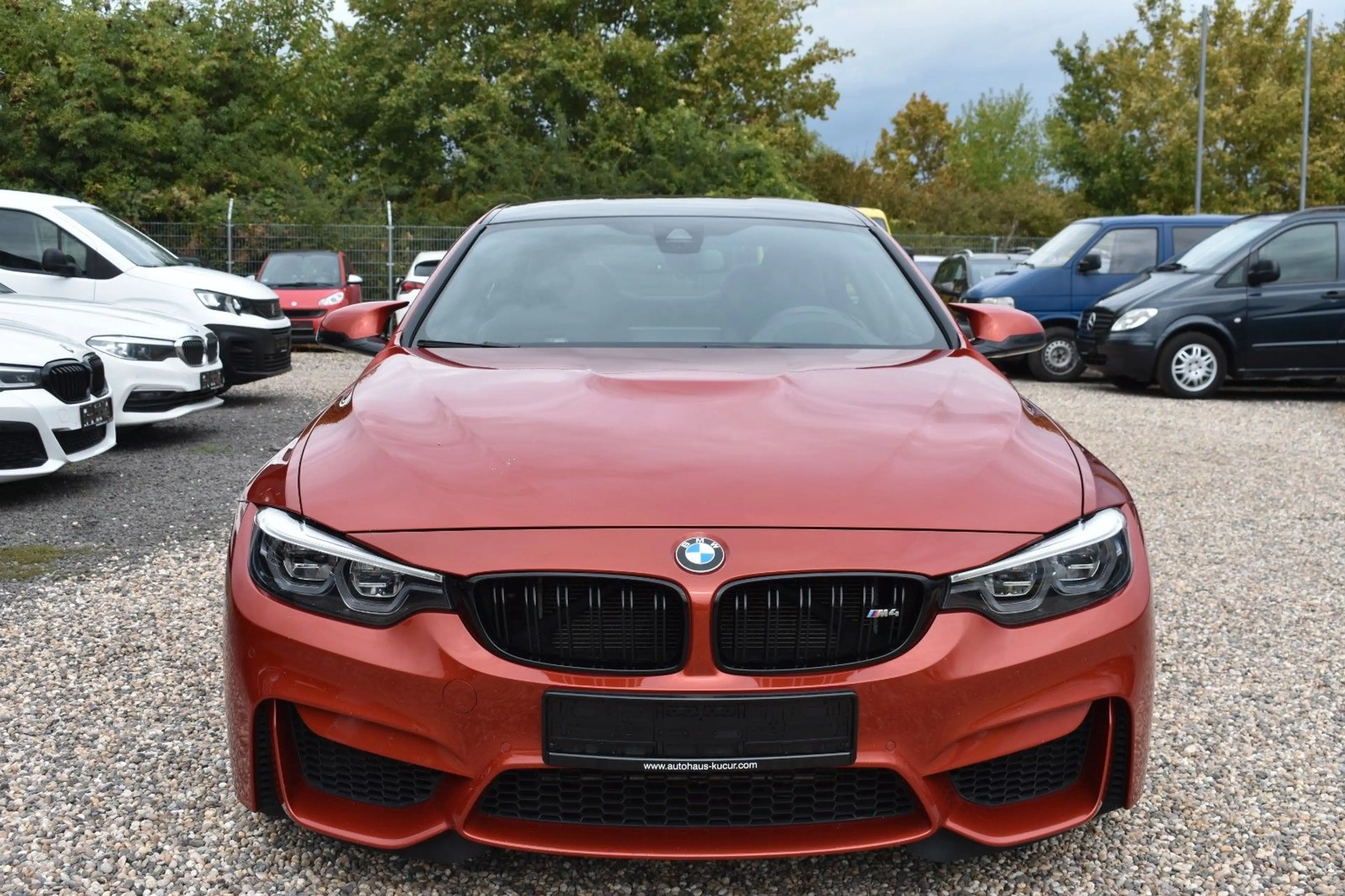 BMW M4 Coupe Competition/HUD/Shadow/Carbon/DKG — photo 6
