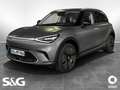 smart #1 PREMIUM 22KW+DAB+LED+360°+Navi+Head-UP+Fahras Grau - thumbnail 1