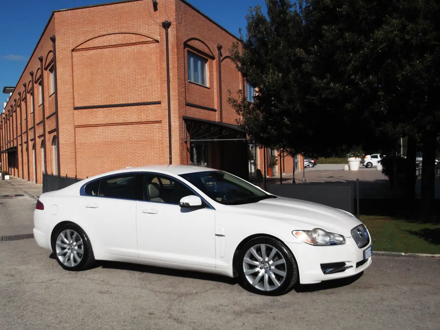Jaguar XF XF 2.7d Premium Luxury 2008 Alb - 1