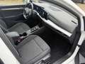 Volkswagen Golf VIII Variant Life|ACC|Beheiz.Lenkrad|TOP!! Weiß - thumbnail 9