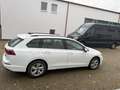 Volkswagen Golf VIII Variant Life|ACC|Beheiz.Lenkrad|TOP!! Weiß - thumbnail 7
