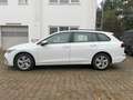 Volkswagen Golf VIII Variant Life|ACC|Beheiz.Lenkrad|TOP!! Weiß - thumbnail 3