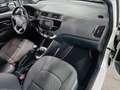 Kia Rio Rio III 2016 5p 1.2 Cool eco Gpl Weiß - thumbnail 12