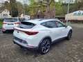 CUPRA Formentor 1,5 TSI DSG LED NAVI KAMERA 19ZOLL Blanc - thumbnail 5