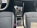 Volkswagen Golf VIII 1.5TSI Style Navi LED ACC Argento - thumbnail 9