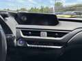 Lexus UX 250h Hybrid 4WD Executive IVA ESPOSTA COMPRESA - thumbnail 14