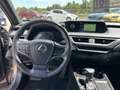 Lexus UX 250h Hybrid 4WD Executive IVA ESPOSTA COMPRESA - thumbnail 11